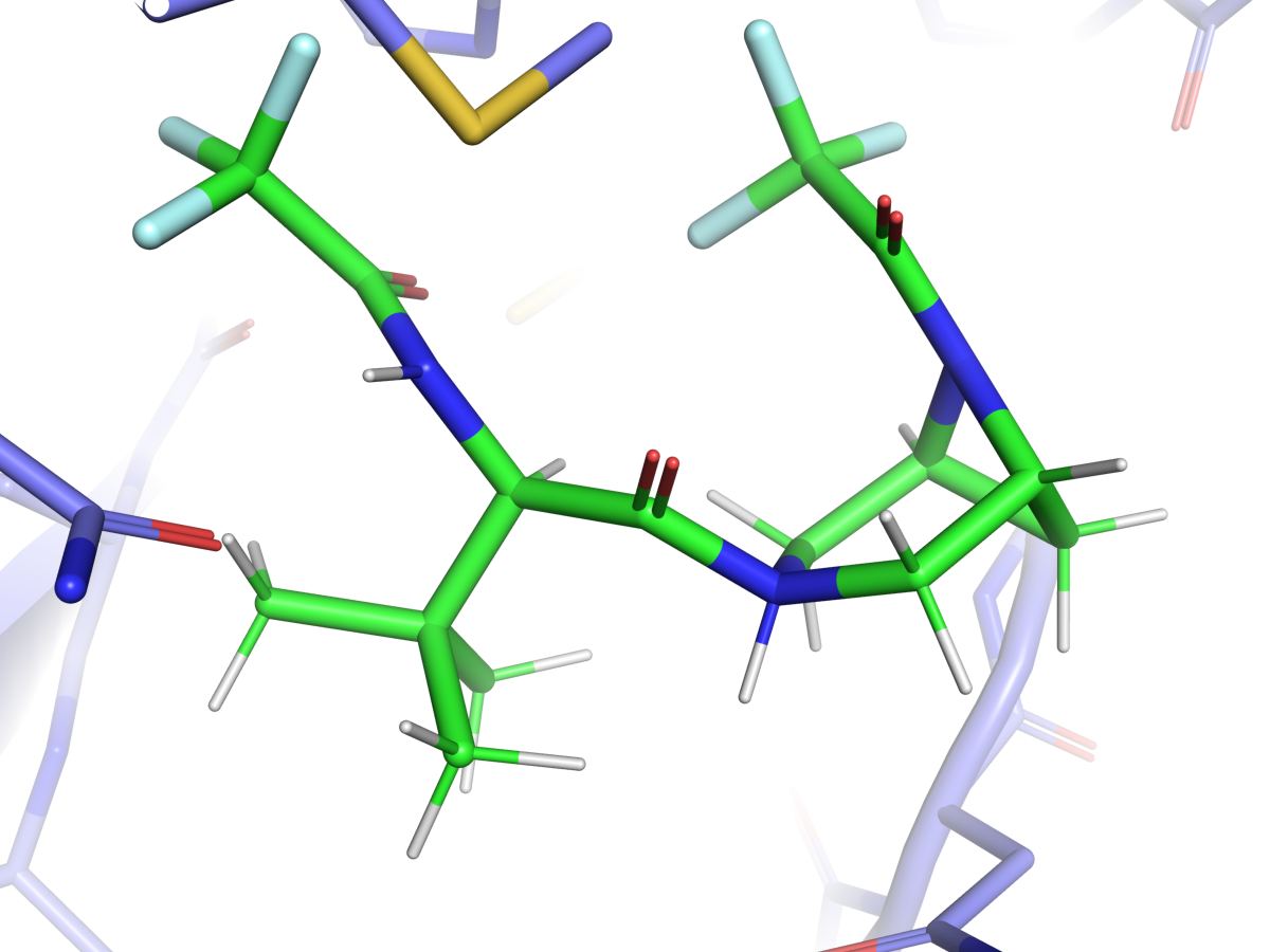 PyMOL binding-site render — ligand_1